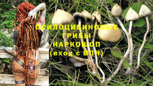 MESCALINE Новодвинск